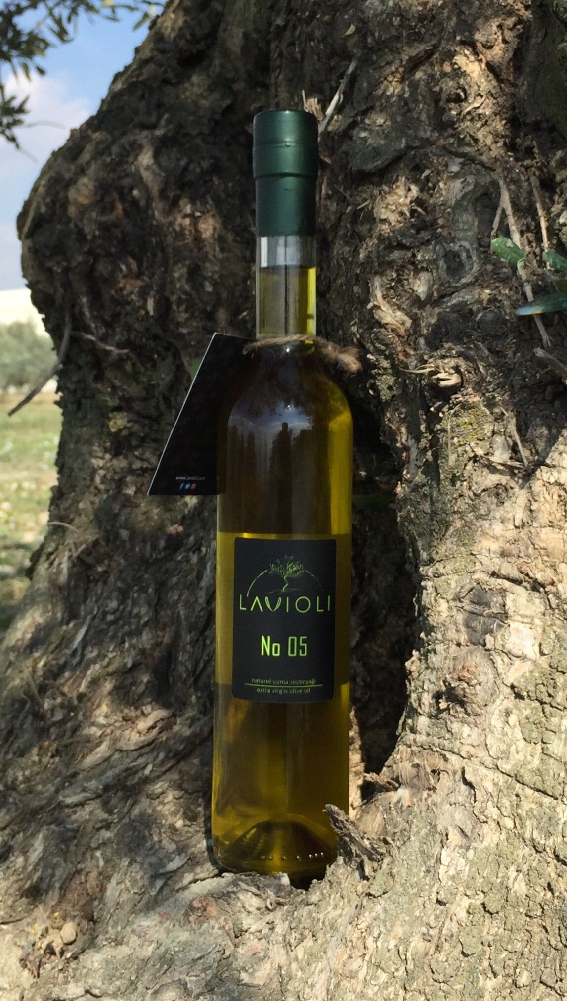 Lavioli Özel Seri No05 250ml - Görsel 2